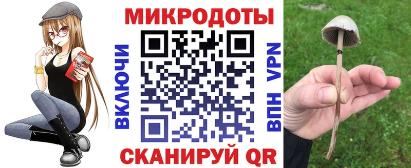 Галлюциногенные грибы MAGIC MUSHROOMS Чкаловск